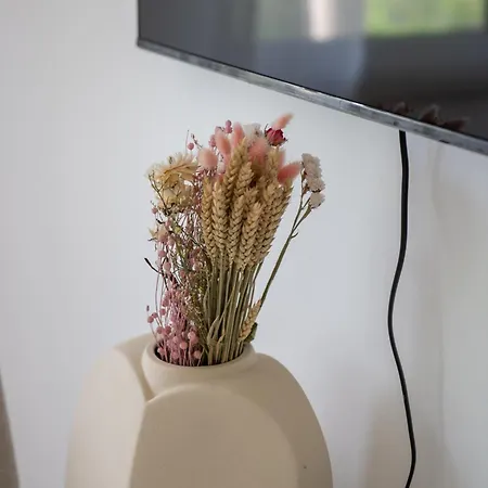 Appartement Potsdams Traumwohnung Mit 6 Schlafmoeglichkeiten Und Terrasse Potsdam